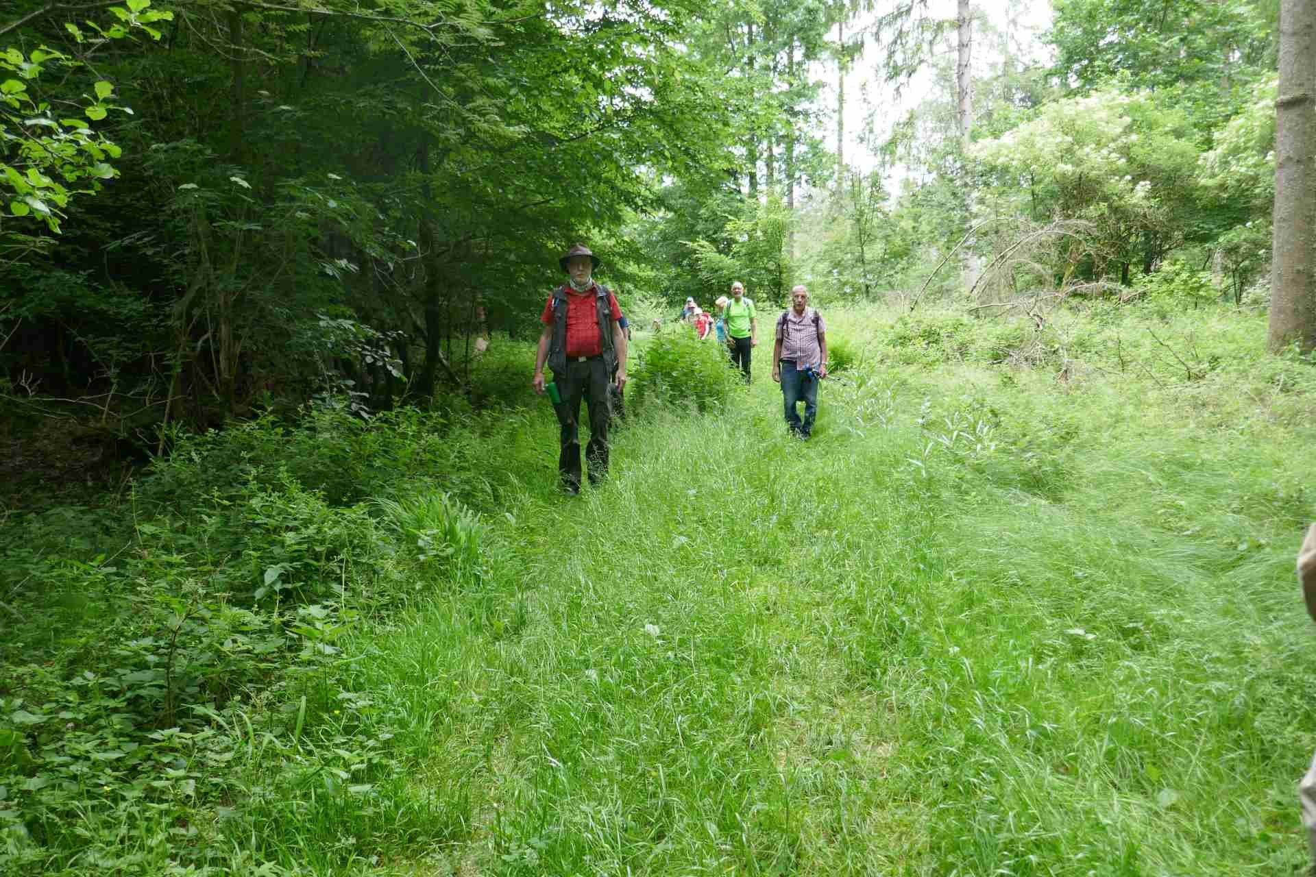 05 Albschäferweg - 2 Tages Wanderung im Juni